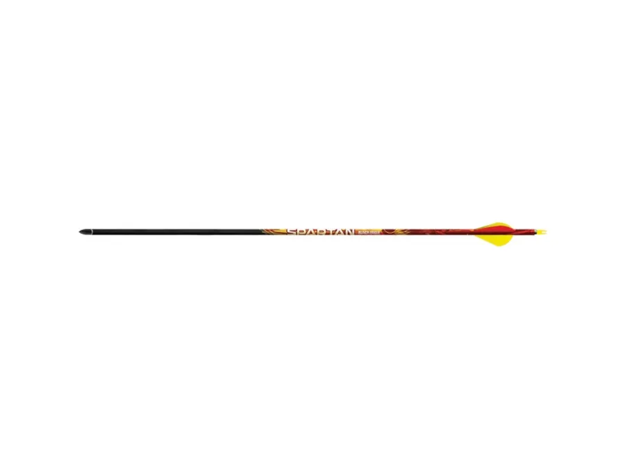 Black Eagle Spartan Arrows.003 350 Blazer Vanes, 6 count